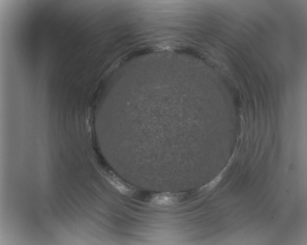 X0000070340174200606161300