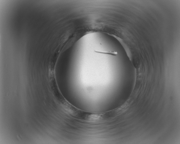 X0000070340176200606161300