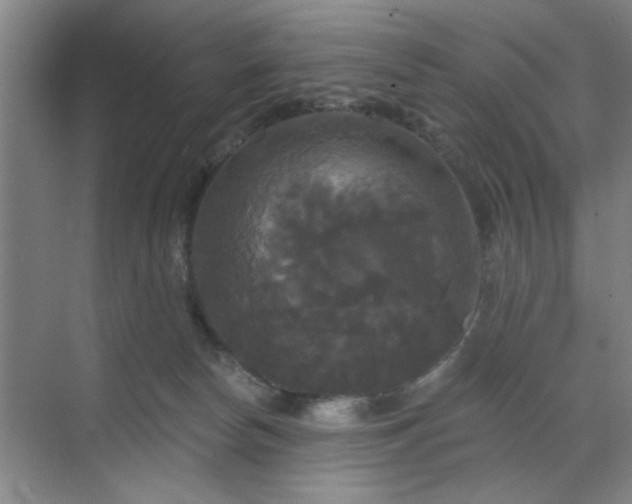 X0000070340178200606161300