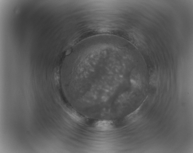 X0000070340179200606161300