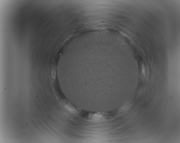 X0000070340180200606161300