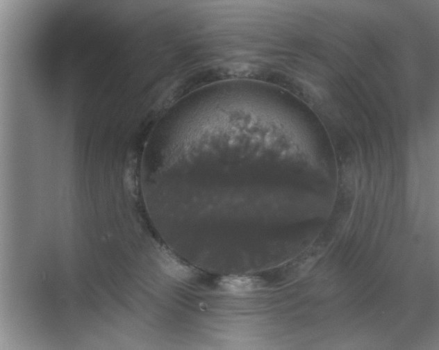 X0000070340181200606161300