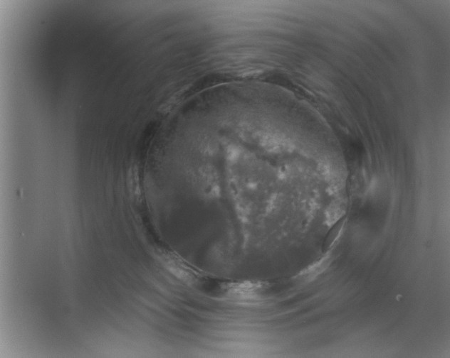 X0000070340182200606161300