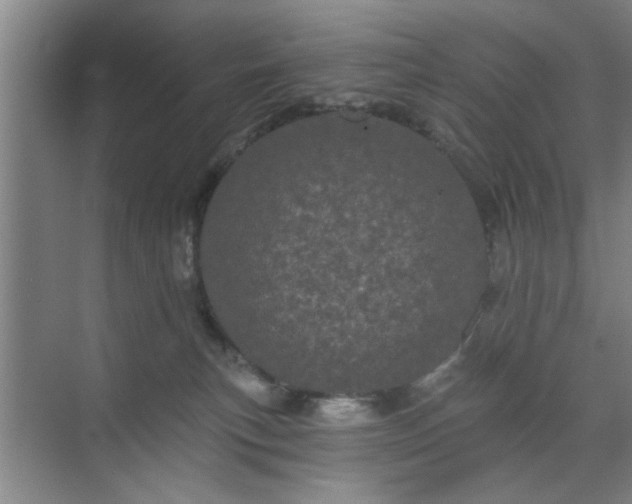 X0000070340183200606161300