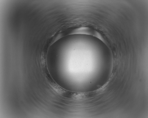 X0000070340186200606161300