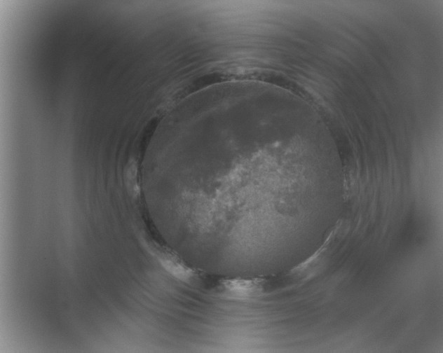 X0000070340187200606161300