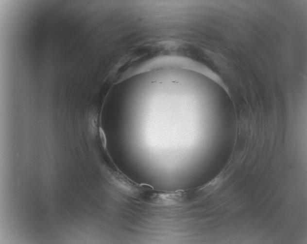 X0000070340188200606161300