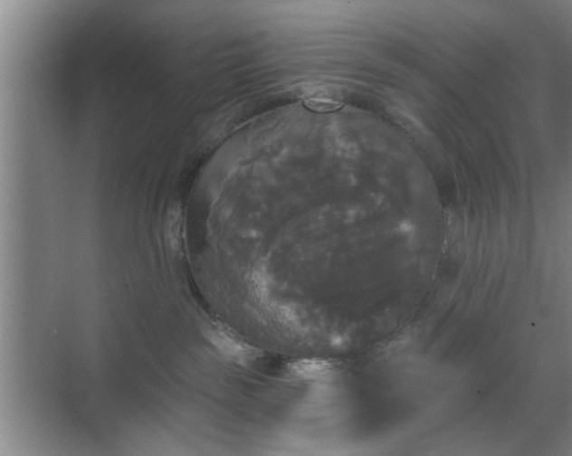 X0000070340189200606161300