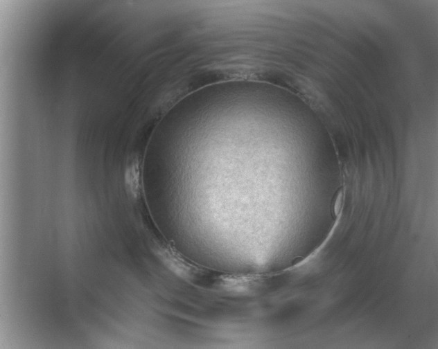 X0000070340190200606161300