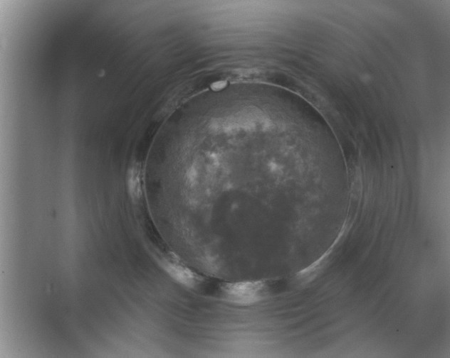 X0000070340191200606161300