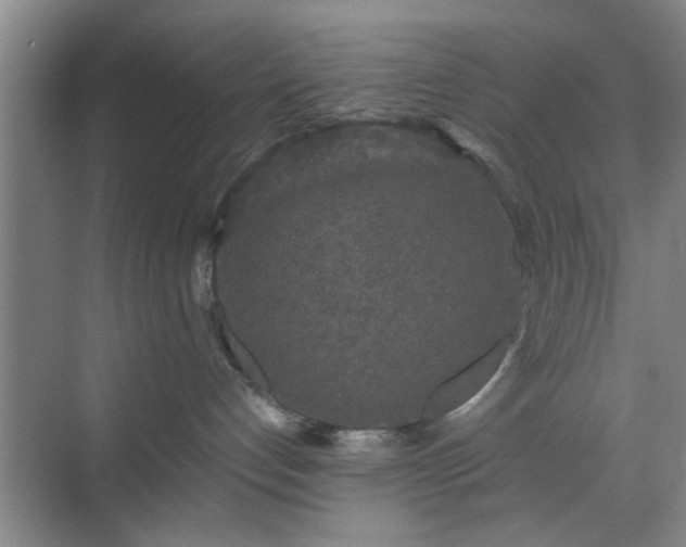 X0000070340192200606161300