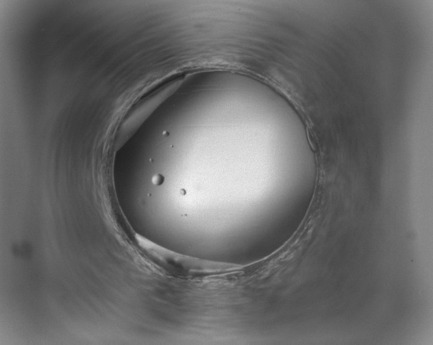 X0000070340193200606161259