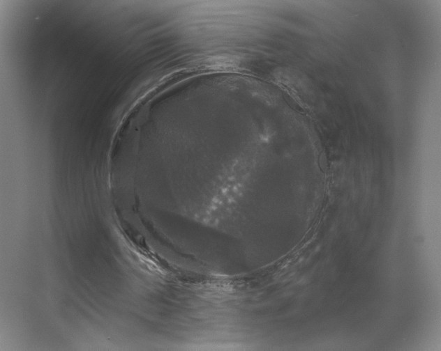 X0000070340194200606161259