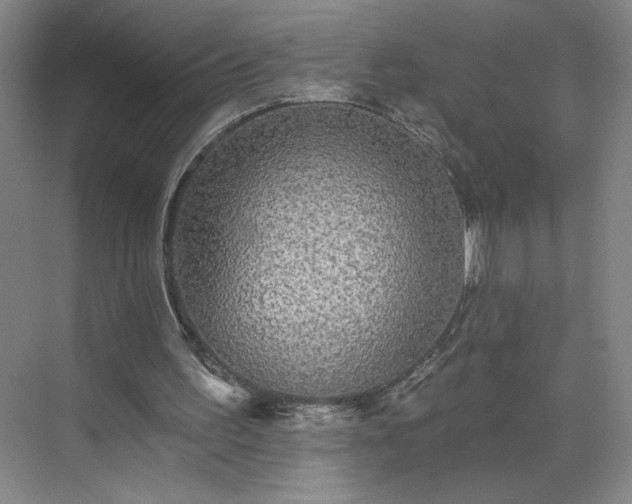 X0000070340195200606161259