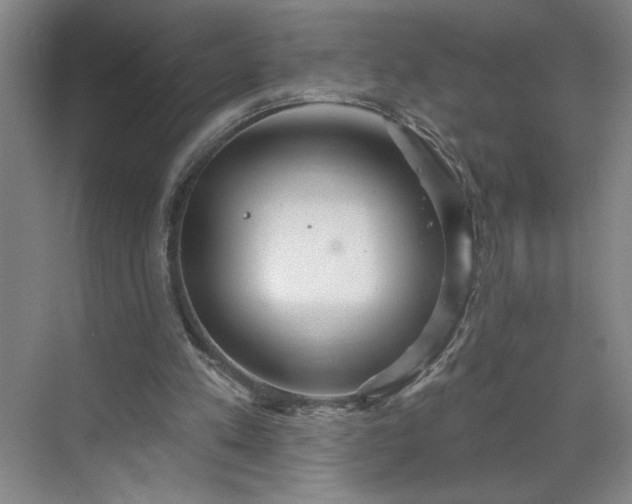 X0000070340197200606161259