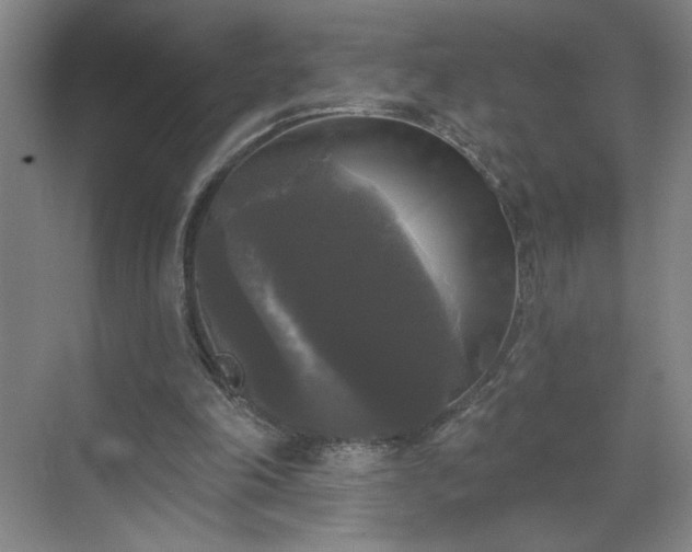 X0000070340198200606161259