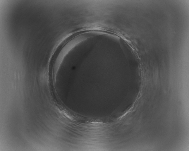 X0000070340200200606161259