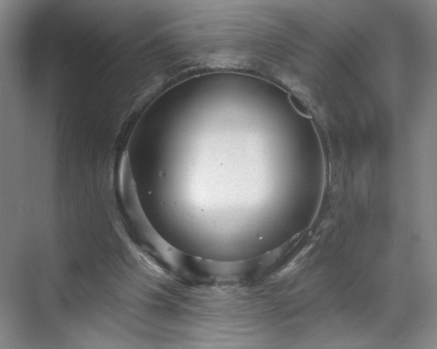 X0000070340201200606161259