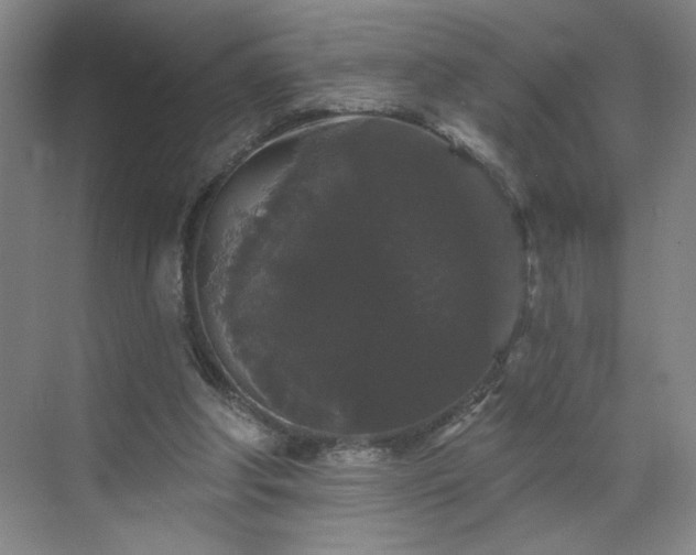 X0000070340202200606161259