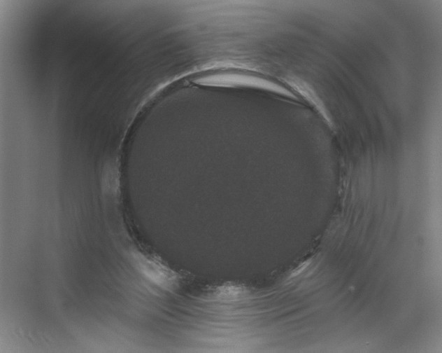 X0000070340204200606161259