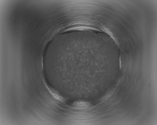 X0000070340205200606161259