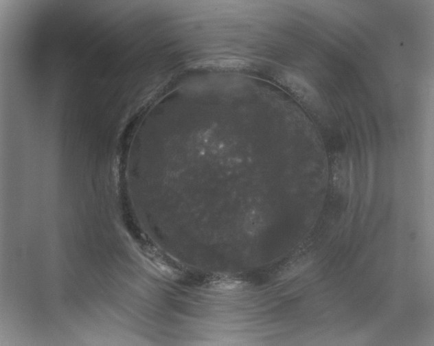 X0000070340206200606161259