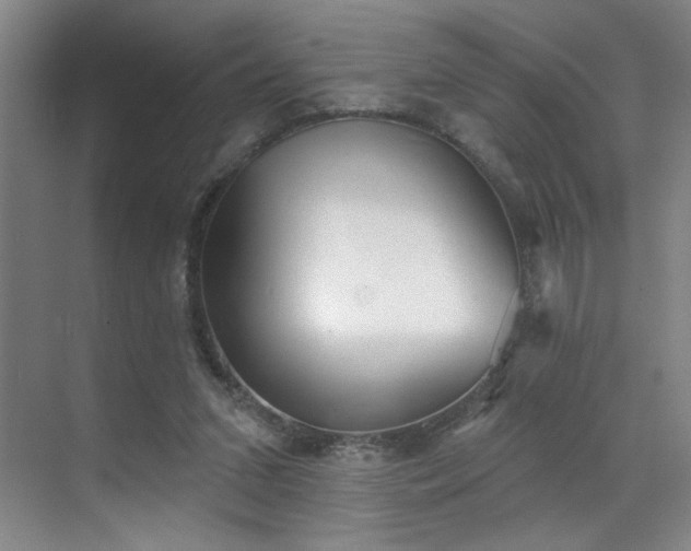 X0000070340207200606161259