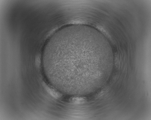 X0000070340208200606161259