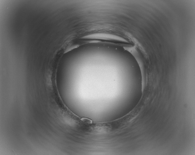 X0000070340209200606161259