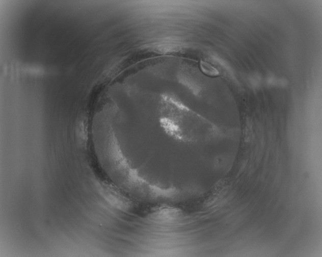 X0000070340210200606161259