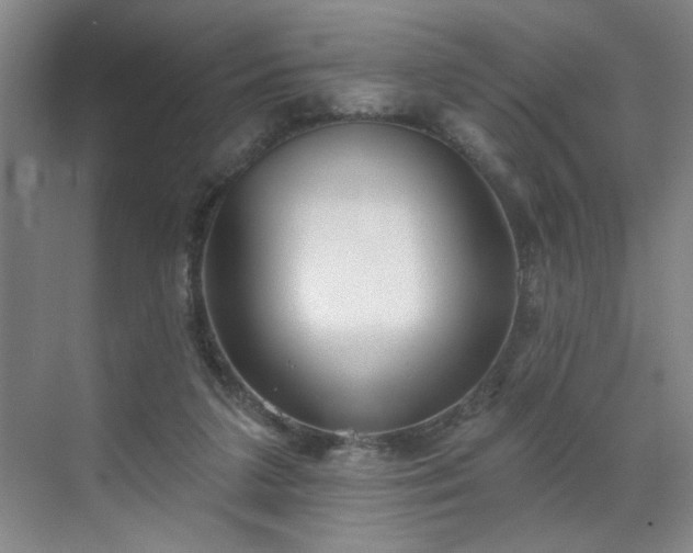 X0000070340211200606161259