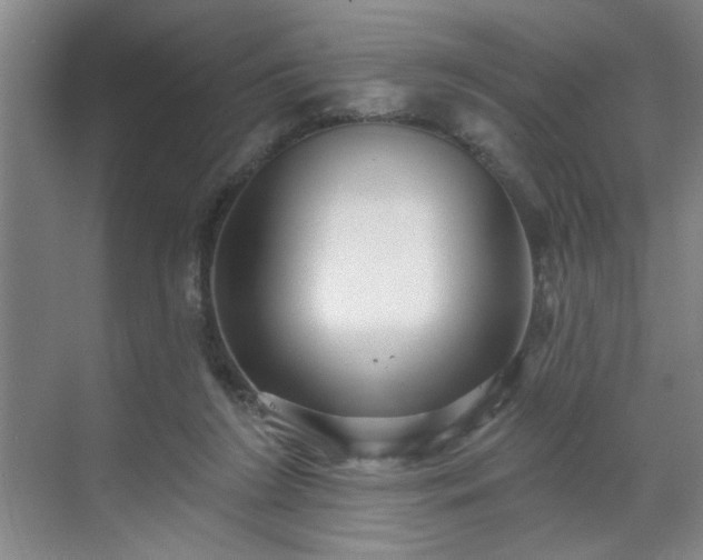 X0000070340212200606161259