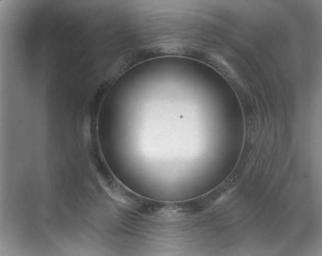 X0000070340213200606161259