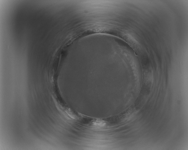 X0000070340214200606161259