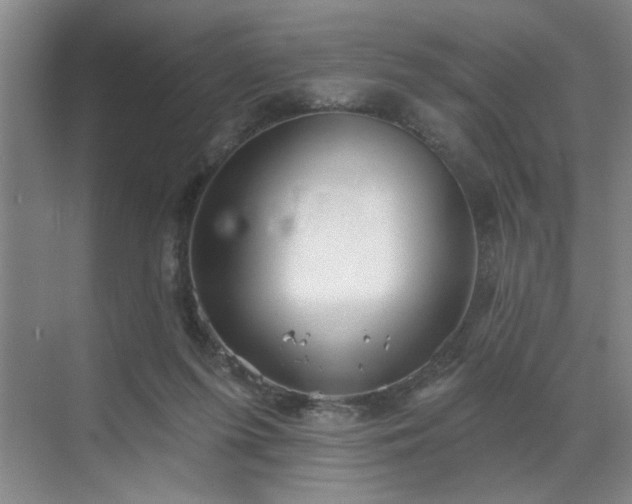 X0000070340215200606161259