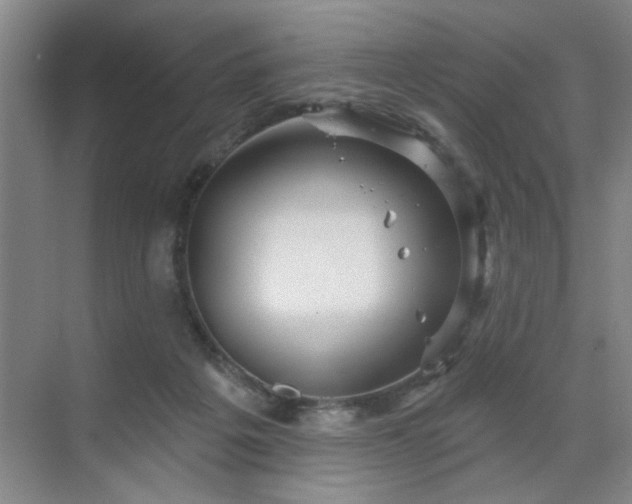 X0000070340217200606161259