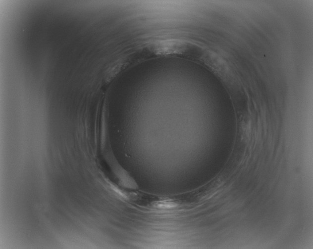 X0000070340219200606161259