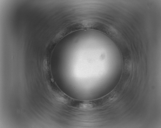 X0000070340220200606161259