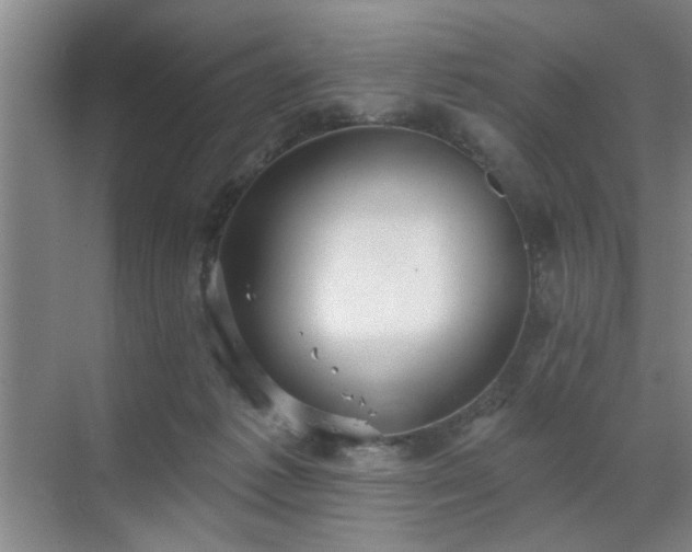 X0000070340221200606161259