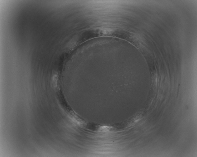 X0000070340222200606161259