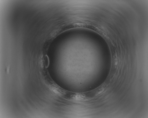 X0000070340223200606161259