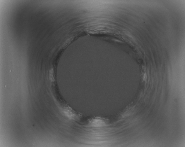 X0000070340224200606161259