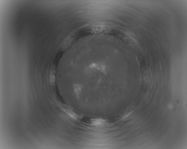 X0000070340226200606161259