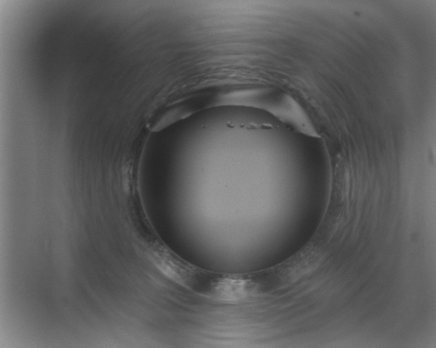 X0000070340227200606161259