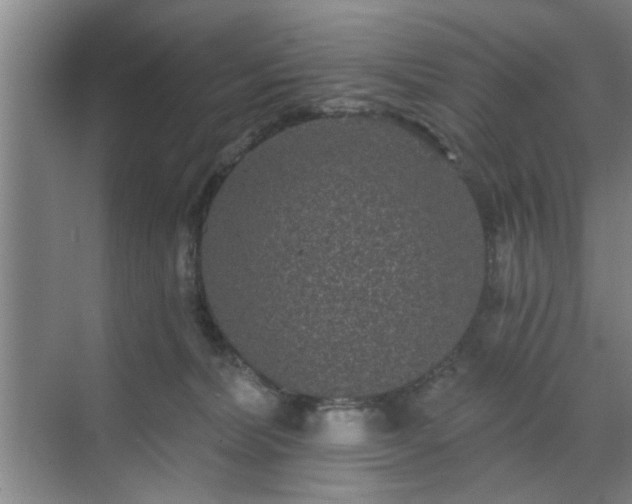 X0000070340228200606161259