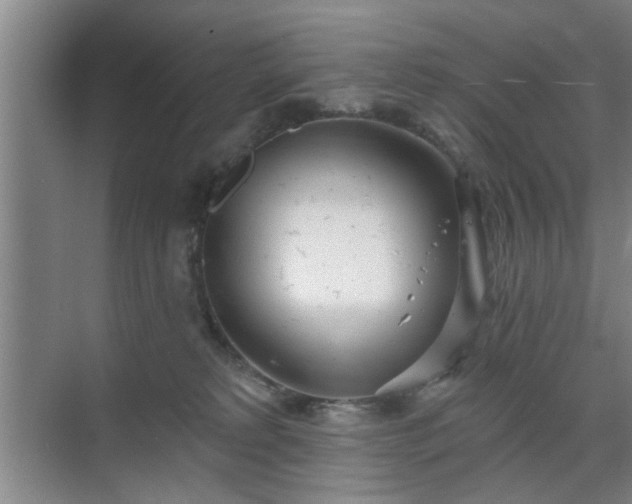 X0000070340229200606161259