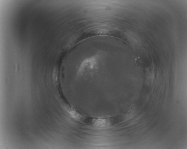 X0000070340230200606161259