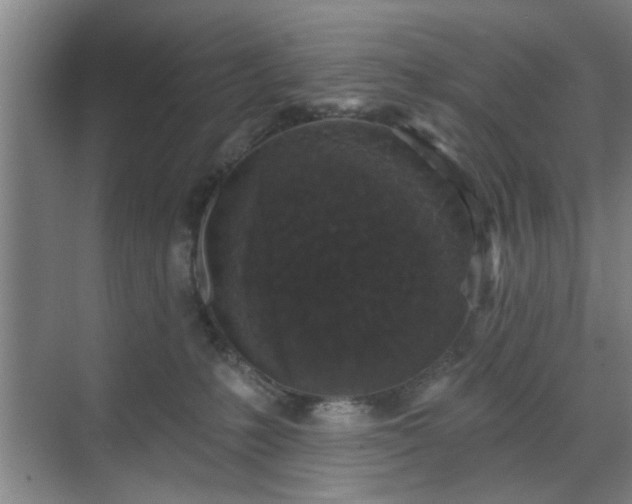 X0000070340231200606161259