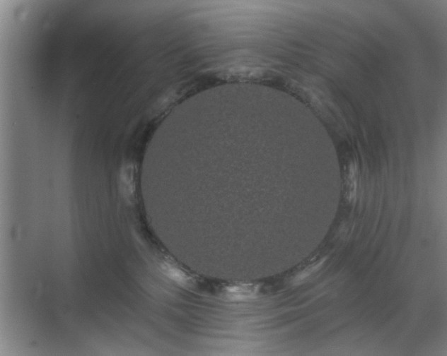 X0000070340232200606161259