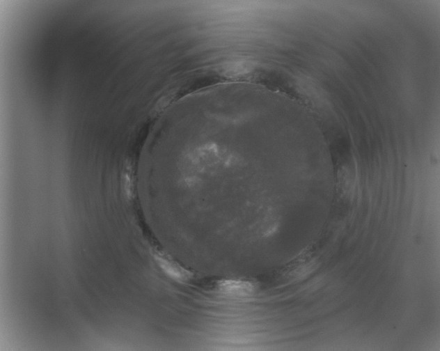 X0000070340234200606161259